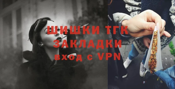 крисы Переславль-Залесский