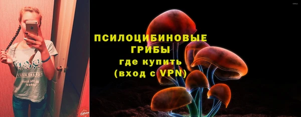 марихуана Абаза