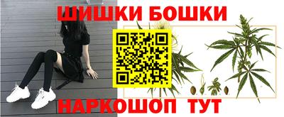 ешки Гатчина