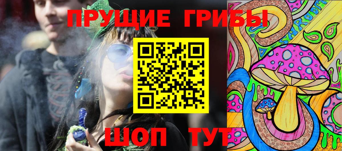 Псилоцибиновые грибы GOLDEN TEACHER Симферополь